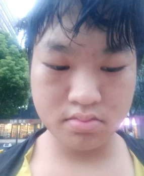 上海的鸭子